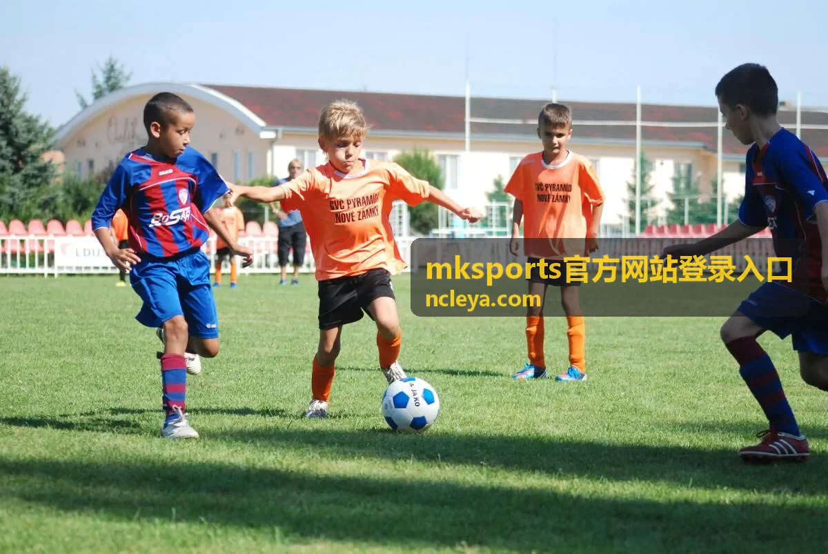 mksports官方网站登录入口赛前登录检查清单封面