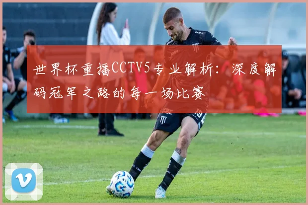 世界杯重播CCTV5专业解析：深度解码冠军之路的每一场比赛