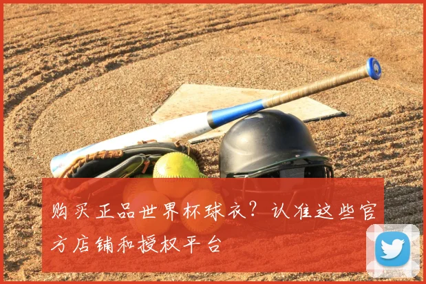 购买正品世界杯球衣？认准这些官方店铺和授权平台