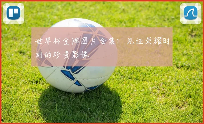 世界杯金牌图片合集：见证荣耀时刻的珍贵影像