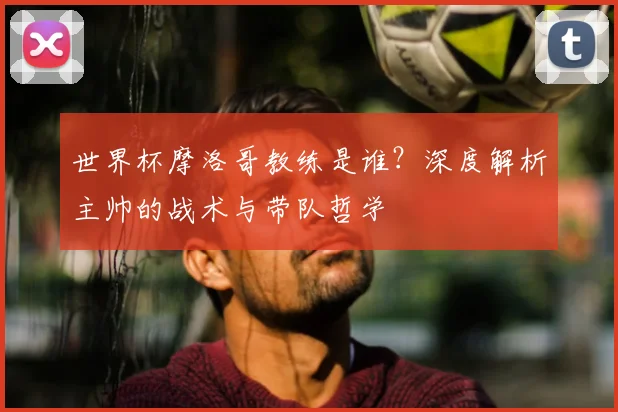 世界杯摩洛哥教练是谁?深度解析主帅的战术与带队哲学
